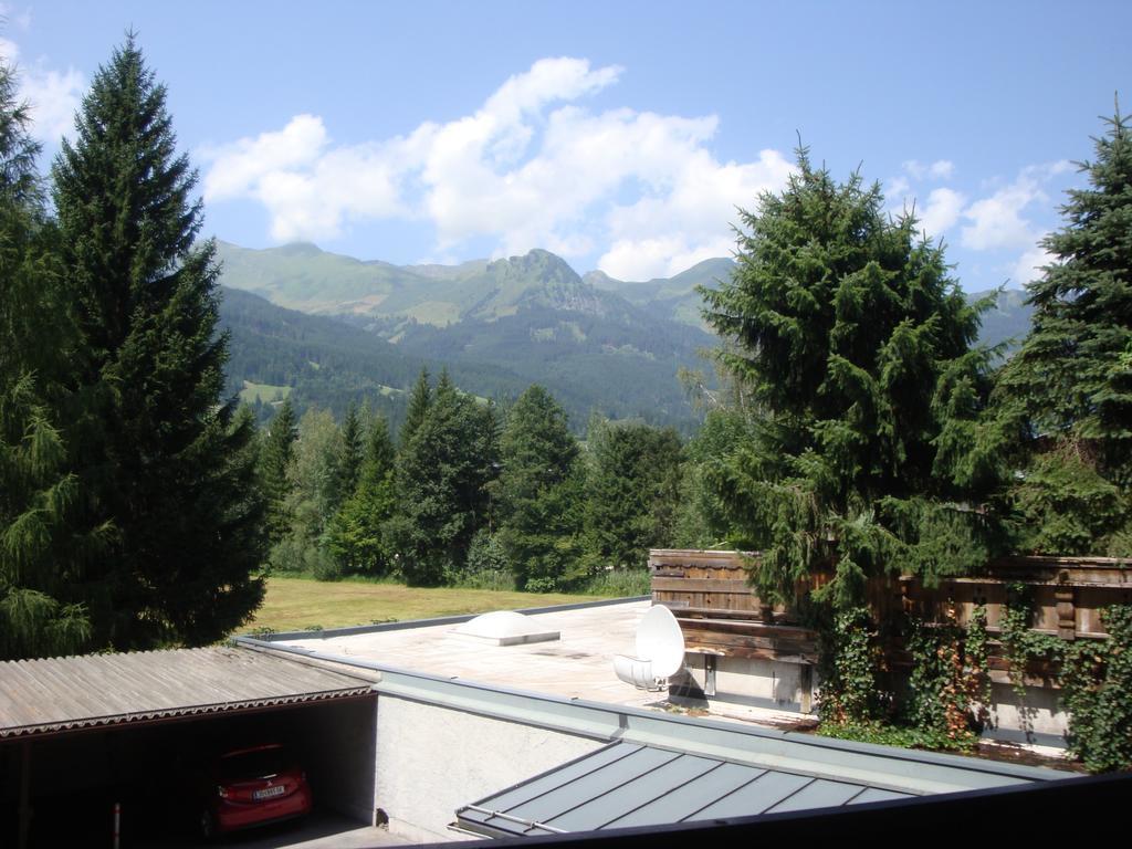 Alpen Pyrkestrasse Apartment